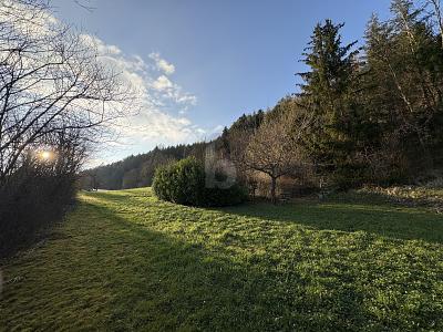 RUHE UND NATUR MIT EIGENER QUELLE (KEIN BAULAND) zimmer