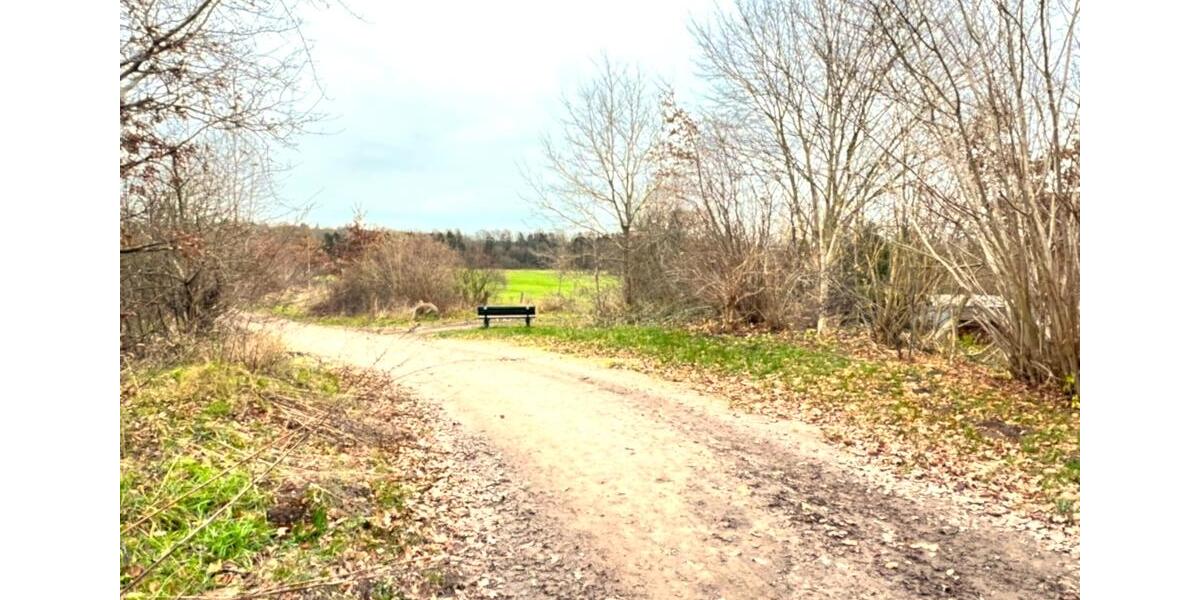 Einfamilienhaus Eutin - 6 Zimmer, 150 m&sup2;, 2.050&euro; | Angebot:26044747