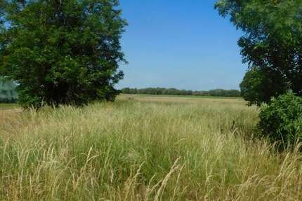 Grundstück Lanz / Bernheide Bernheide - 29.000&euro; | Angebot:26295335