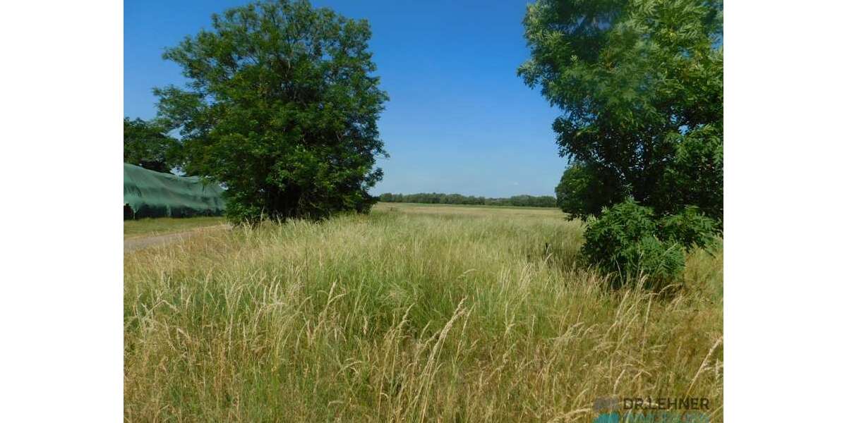 Grundstück Lanz / Bernheide Bernheide - 29.000&euro; | Angebot:26295335