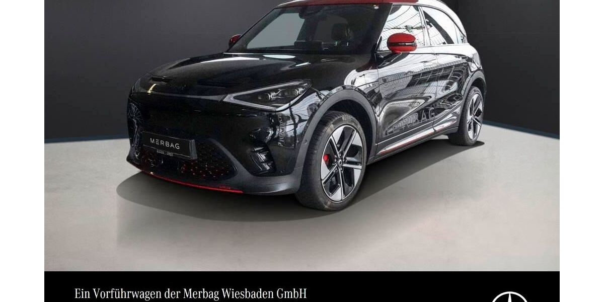 Smart #1 9.300 km 43.890 &euro; Wiesbaden 65189