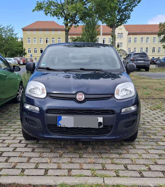 Panda