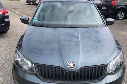 Skoda Fabia 44.950 km 8.500 € Traunstein 83278