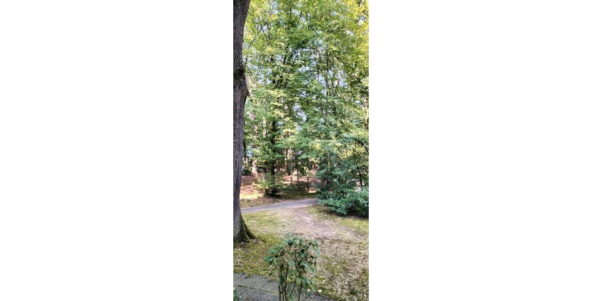 Erdgeschoßwohnung Waldbröl - 2 Zimmer, 61 m&sup2;, 250.000&euro; | Angebot:26113202