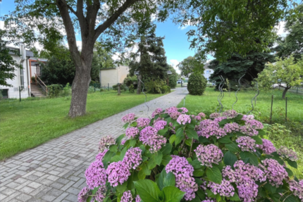 Grundstück zu verkaufen in Berlin 199.000 € 600 m² zimmer