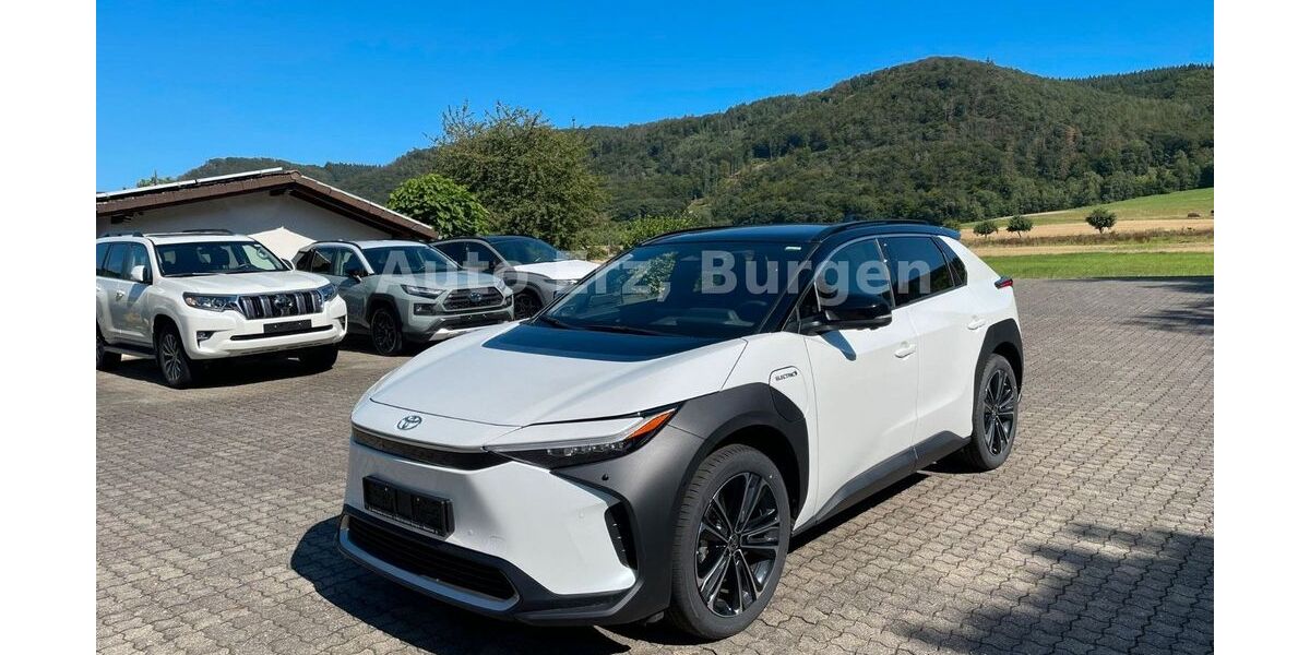 Toyota bZ4X 2.933 km 44.030 € Burgen 54472