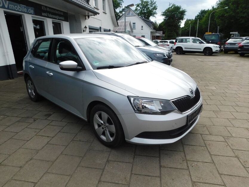 Skoda Fabia 148.000 km 7.985 € Weertzen 27404