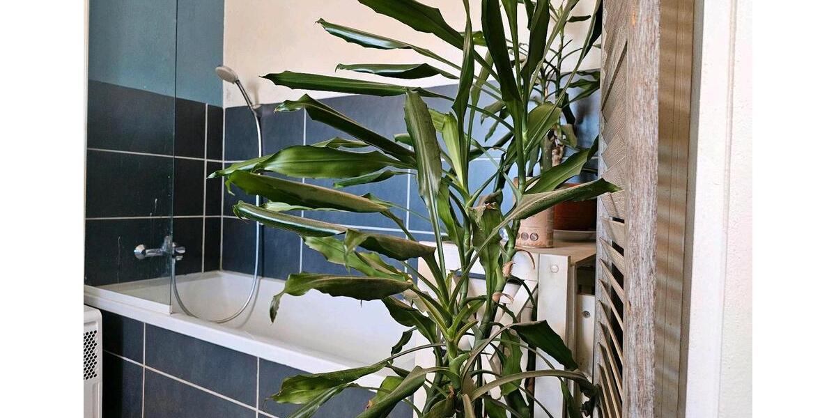 Einfamilienhaus Harburg (Schwaben) - 3 Zimmer, 110 m&sup2;, 195.000&euro; | Angebot:26423724