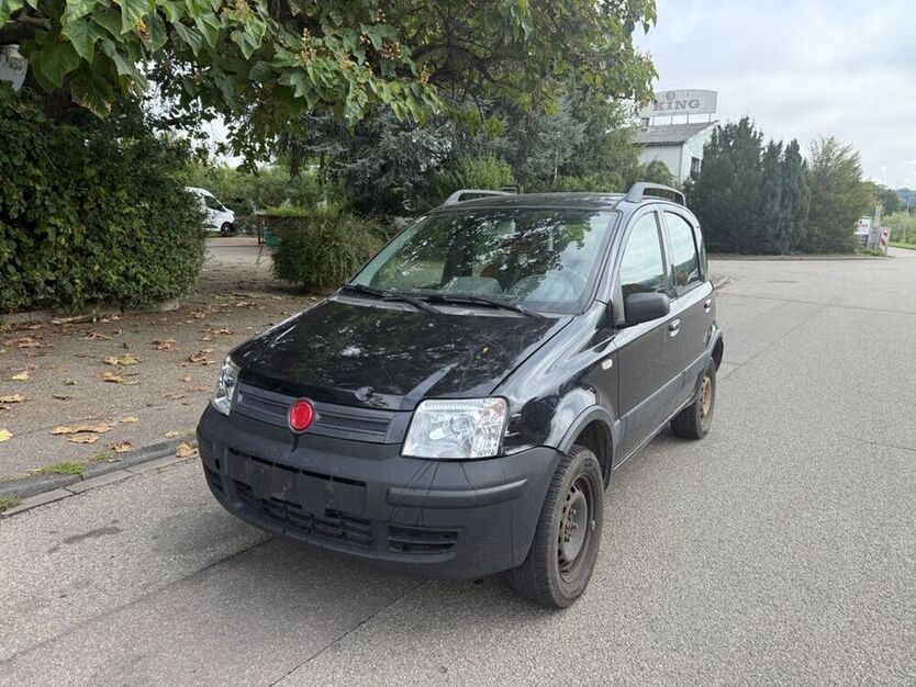 Panda