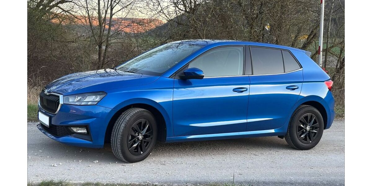 Skoda Fabia 47.000 km 15.990 &euro; Ingolstadt 85051