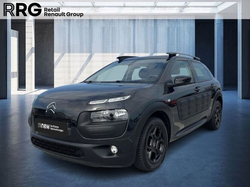 C4 Cactus