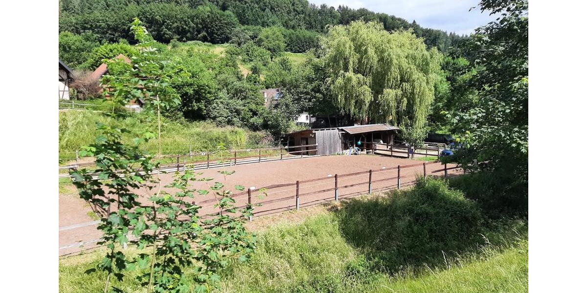 Einfamilienhaus Berghaupten - 880.000&euro; | Angebot:26991648