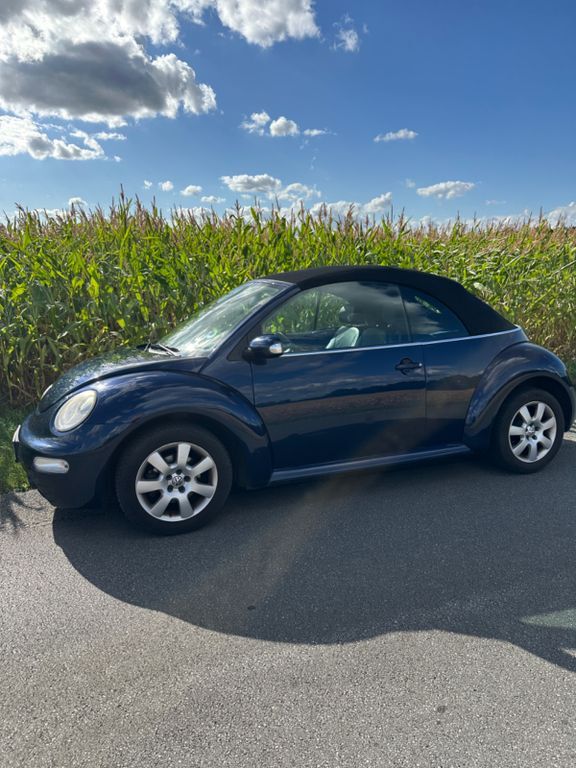 Beetle