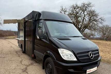 Mercedes-Benz Sprinter 99.700 km 25.000 &euro; Göppingen 73037