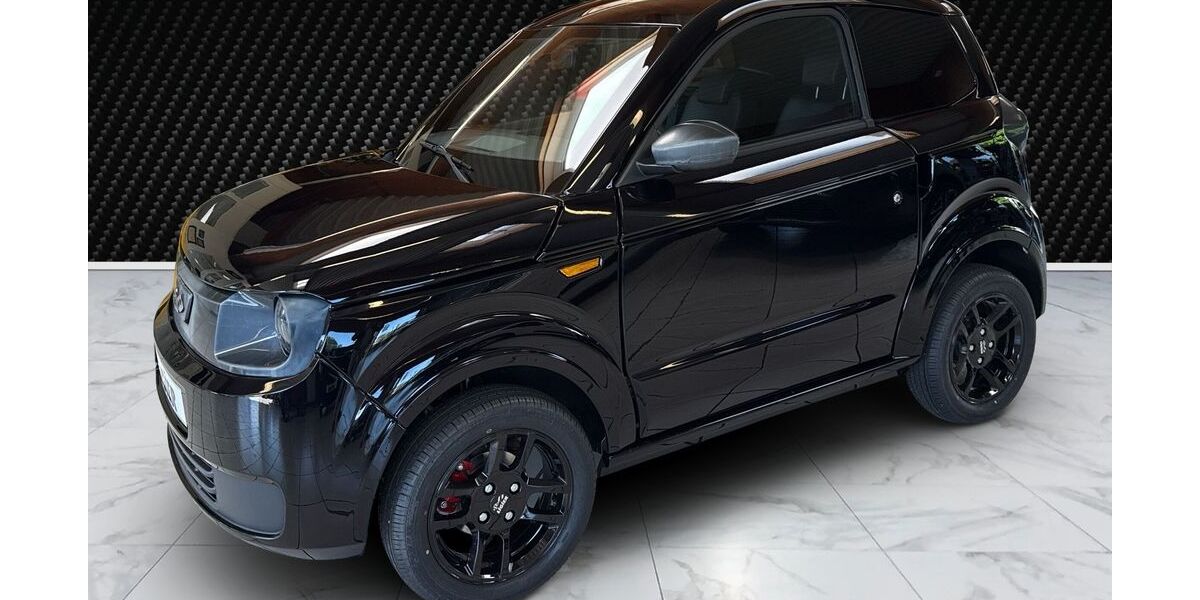 Ligier Myli 1.500 km 15.900 &euro; Schenefeld 25560