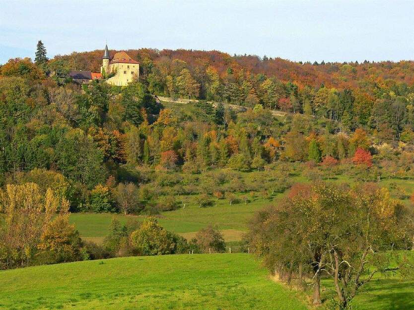 Baugrundstück zimmer