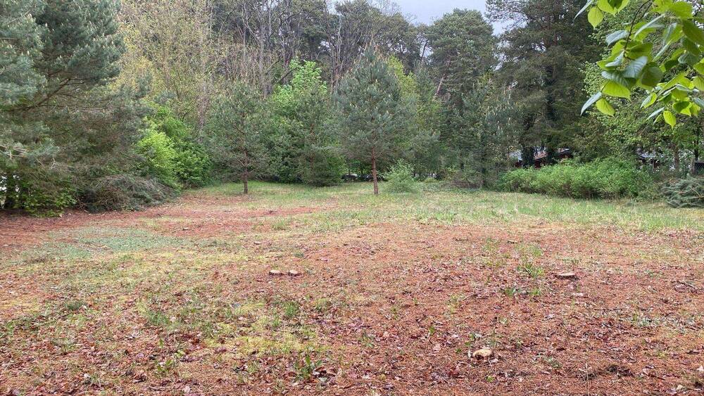 Grundstück Menz Menz - 197.000&euro; | Angebot:26450038