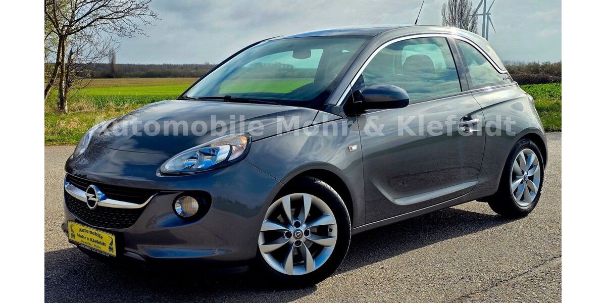 Opel Adam 74.000 km 7.999 &euro; Halle-Neustadt 06124