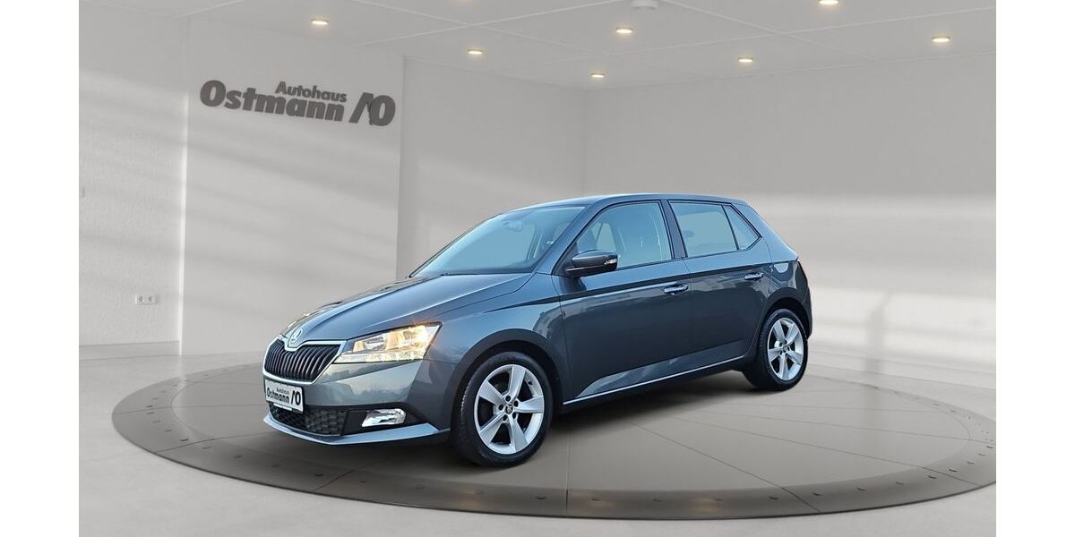 Skoda Fabia 50.910 km 13.440 &euro; Bad Arolsen 34454