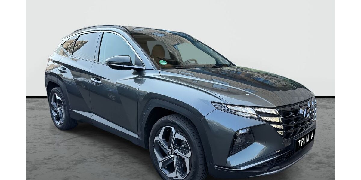 Hyundai TUCSON 99.500 km 21.900 &euro; Diepholz 49356
