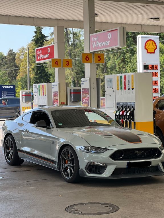 Mustang
