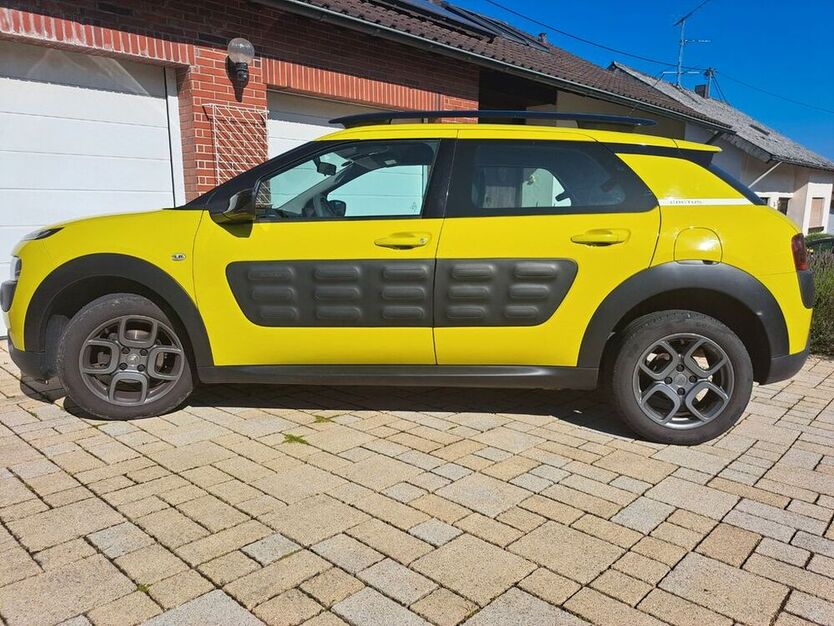 C4 Cactus