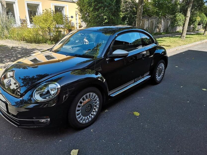 Beetle