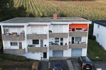 Wohnung zum Kaufen in Bad Bergzabern 134.000 € 63.59 m² 2 zimmer