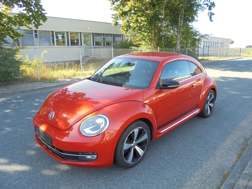 Beetle