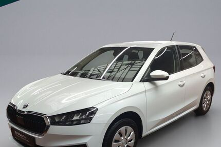 Skoda Fabia 20.300 km 17.190 &euro; Emmendingen 79312