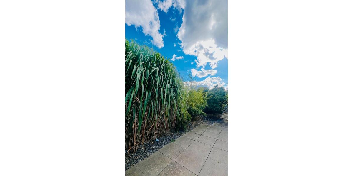 Gussek Premiumhaus mit Energieklasse A, Designküche & Toplage zimmer