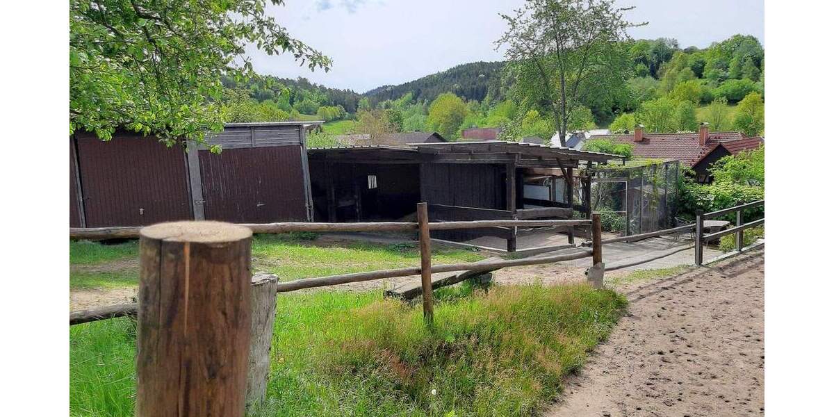 Mehrfamilienhaus, Wohnhaus Michelstadt Weiten-Gesäß - 6 Zimmer, 230 m&sup2;, 695.000&euro; | Angebot:25743244