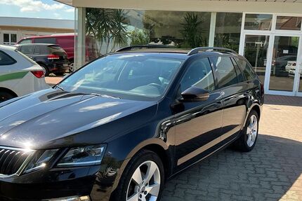 Skoda Octavia 176.000 km 11.880 € Möser 39291