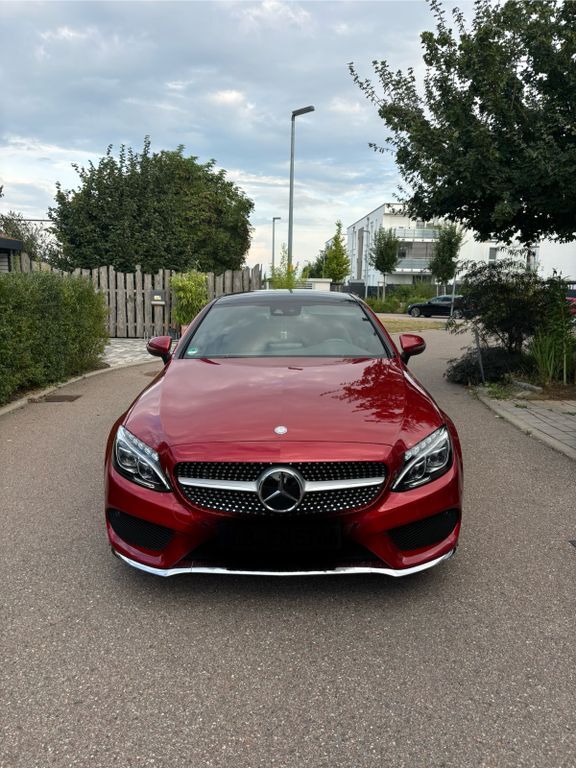 C 250