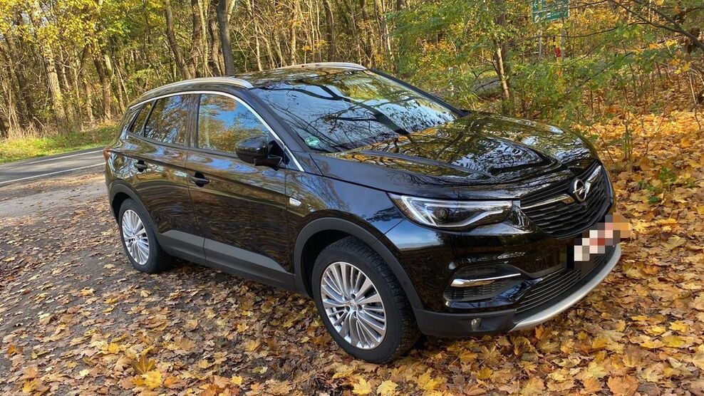 Opel Grandland (X) 57.000 km 18.900 € Berlin 12109