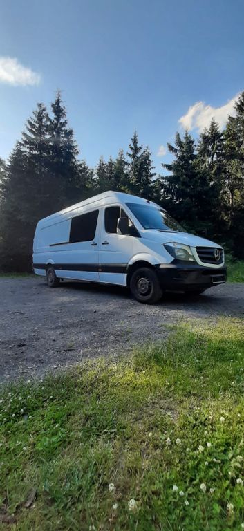 Sprinter