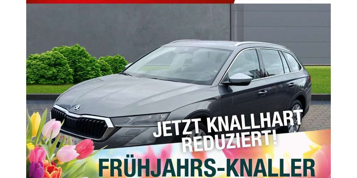 Skoda Octavia 134.584 km 24.920 &euro; Meiningen 98617