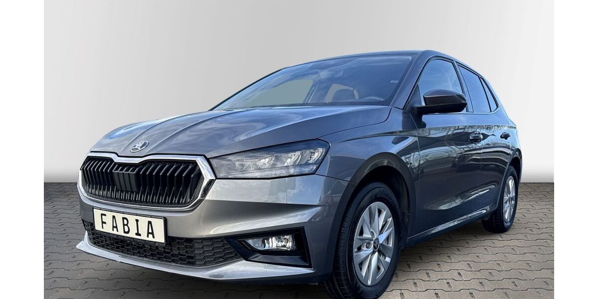 Skoda Fabia 16.725 km 18.450 &euro; Wurzen 04808