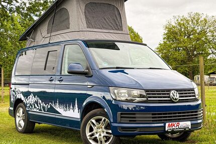 VW T6 andere 167.000 km 34.300 &euro; Marxen 21439
