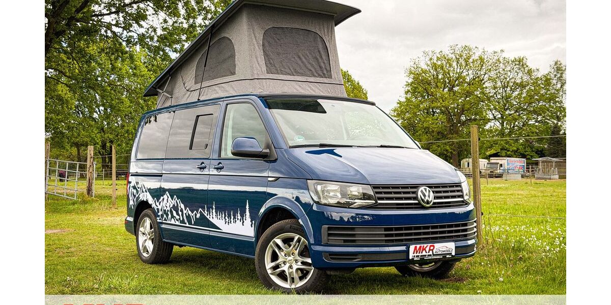 VW T6 andere 167.000 km 34.300 &euro; Marxen 21439
