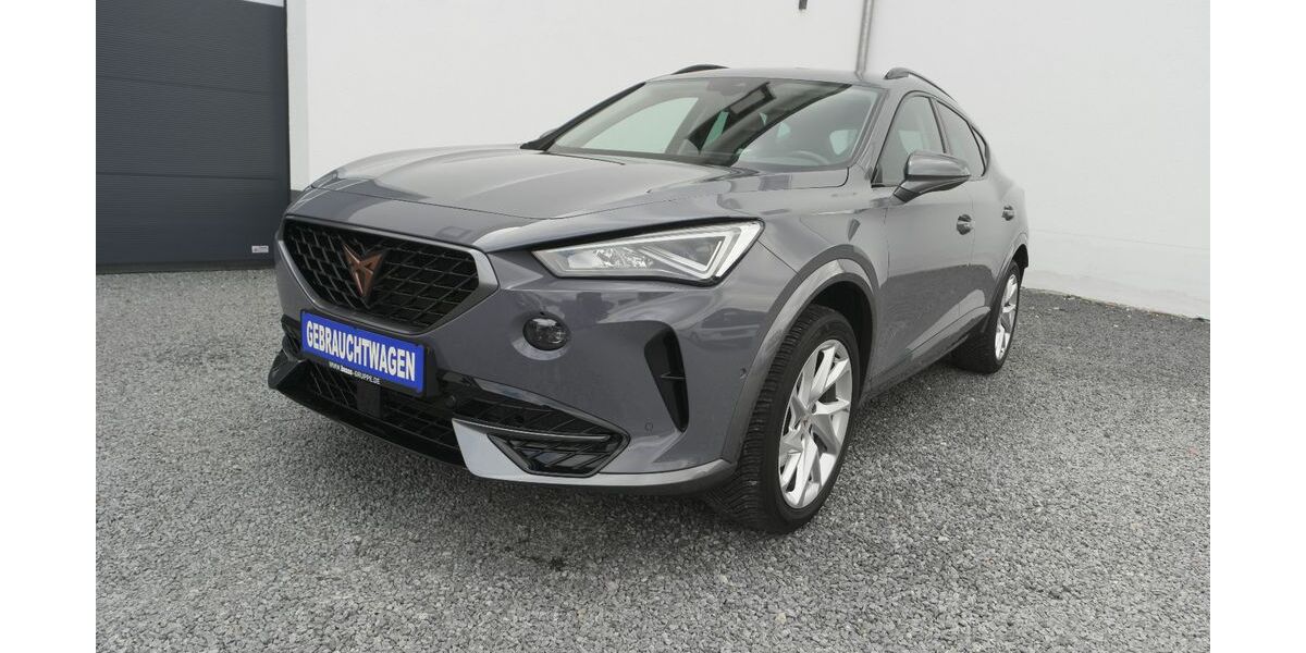 Cupra Formentor 39.000 km 24.580 &euro; Erbach 64711