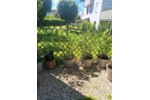 Erdgeschoßwohnung Viechtach - 2 Zimmer, 56 m&sup2;, 165.000&euro; | Angebot:27221345