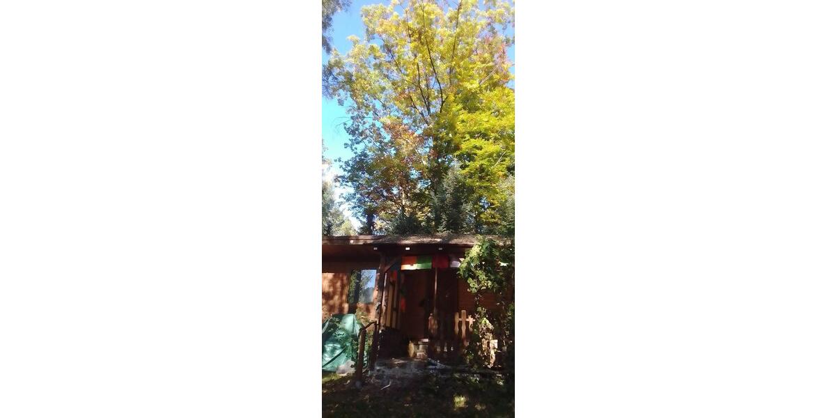 Bungalow Oschatz - 45.000&euro; | Angebot:23500863