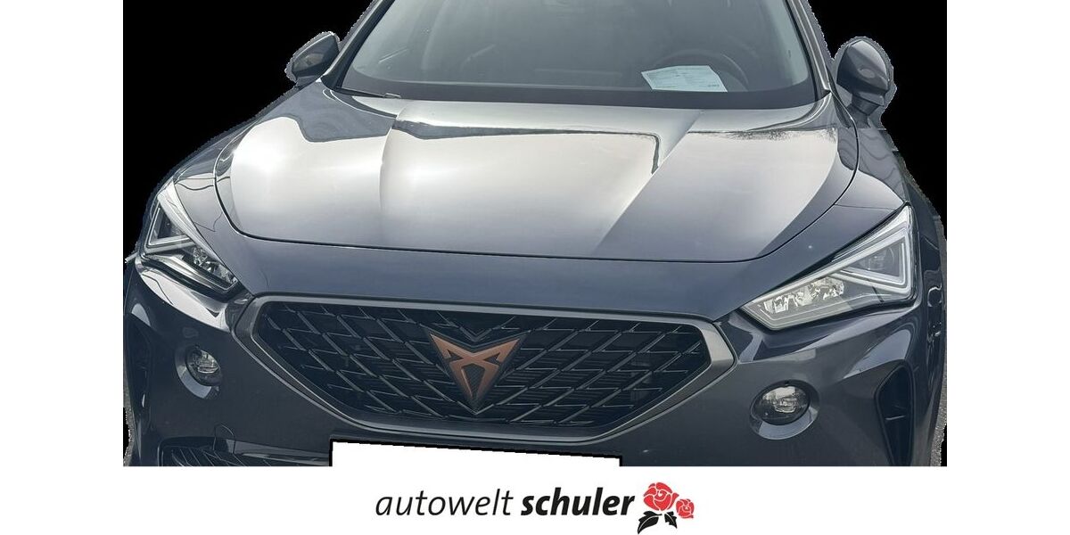 Cupra Formentor 34.800 km 28.290 &euro; Zimmern ob Rottweil 78658