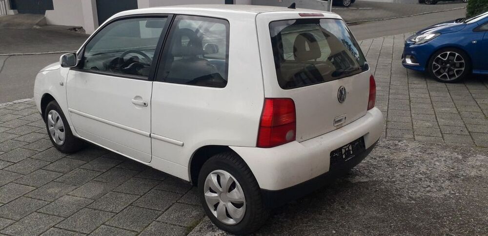 Lupo