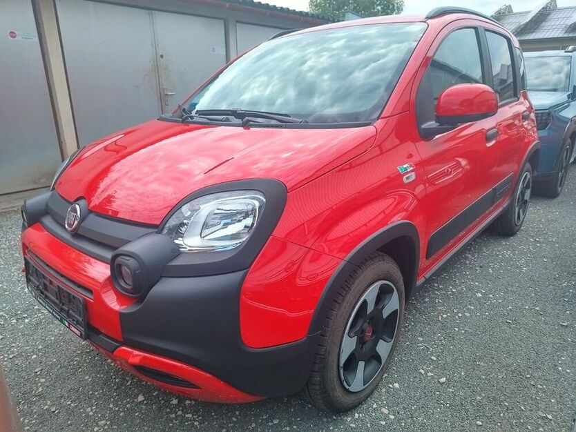 Panda