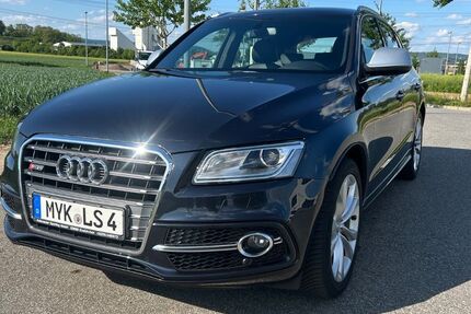 Audi SQ5 159.500 km 19.000 &euro; Lonnig 56295