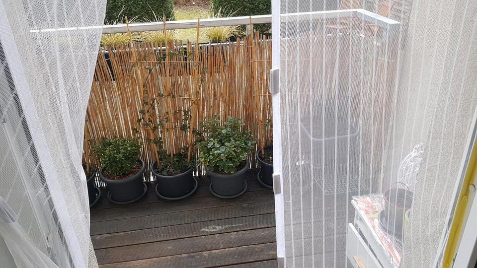 Erdgeschoßwohnung Chemnitz Kapellenberg - 2 Zimmer, 40 m&sup2;, 109.000&euro; | Angebot:25099088