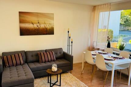 PROVISIONSFREI - Frisch renovierte 3-Zimmer Wohnung