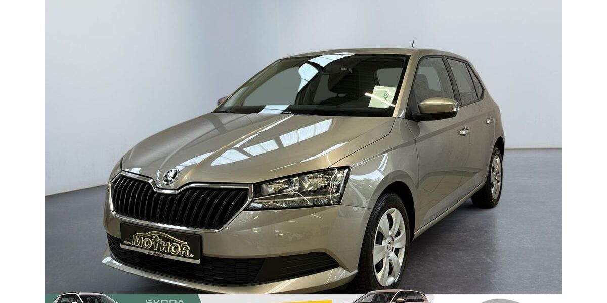 Skoda Fabia 53.445 km 11.479 &euro; Brandenburg 14770